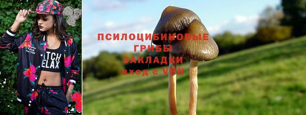 герыч Вязьма