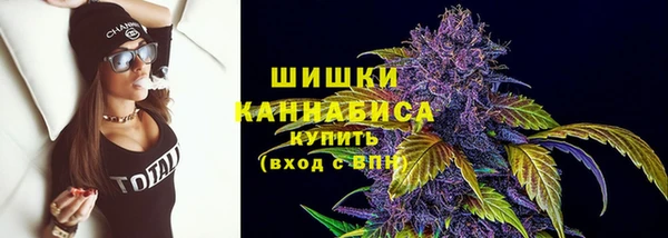 тгк Горнозаводск