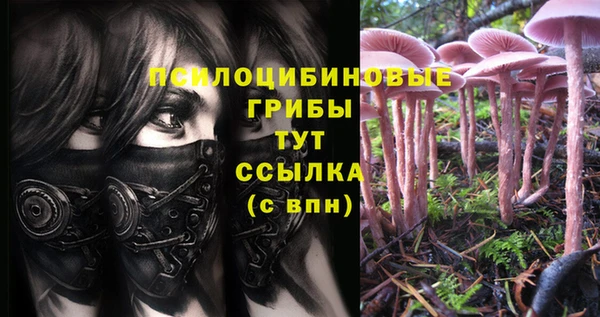 герыч Вязьма