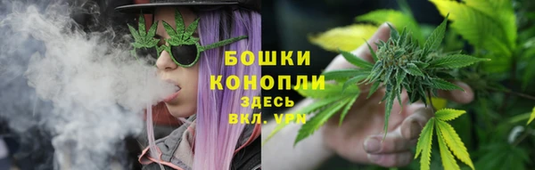 тгк Горнозаводск