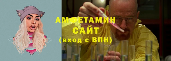 ГАЛЛЮЦИНОГЕННЫЕ ГРИБЫ Вязники