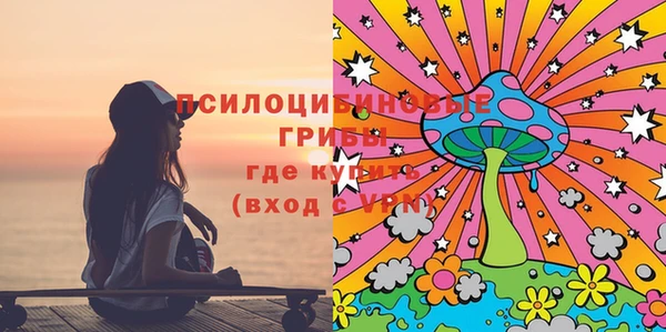 дурь Горно-Алтайск