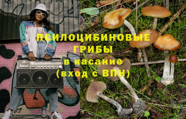 твердый Вяземский