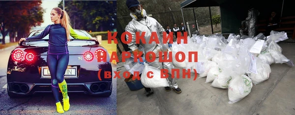 твердый Вяземский