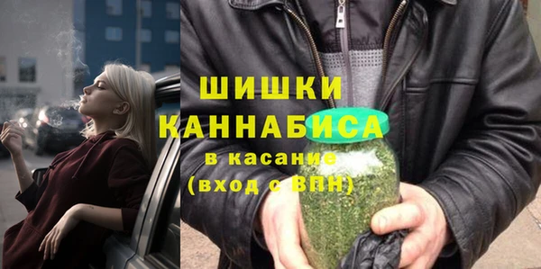 тгк Горнозаводск