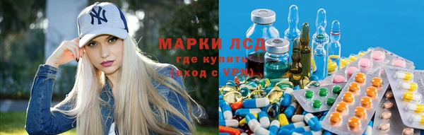 ГАЛЛЮЦИНОГЕННЫЕ ГРИБЫ Вязники