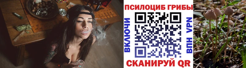 Псилоцибиновые грибы Cubensis  магазин продажи   ОМГ ОМГ онион  Зима 